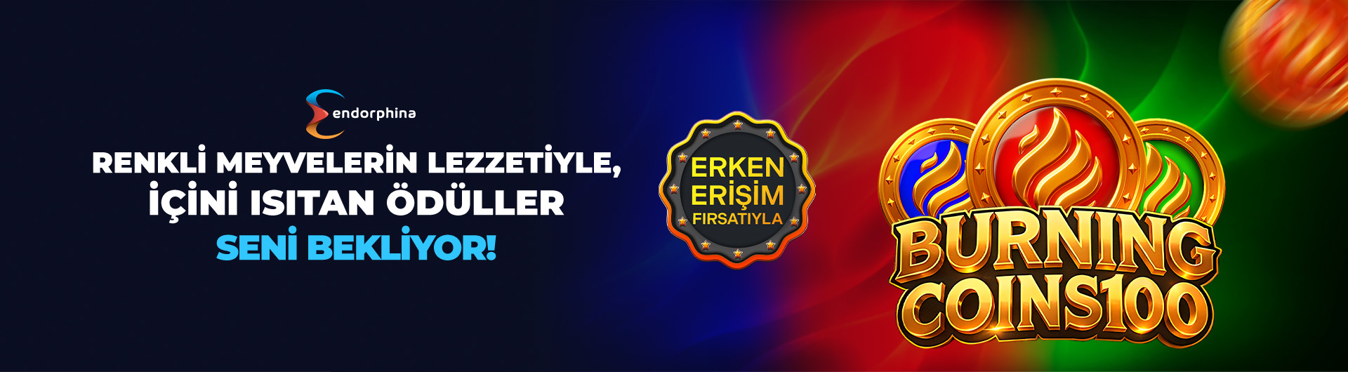 endo erken erişim